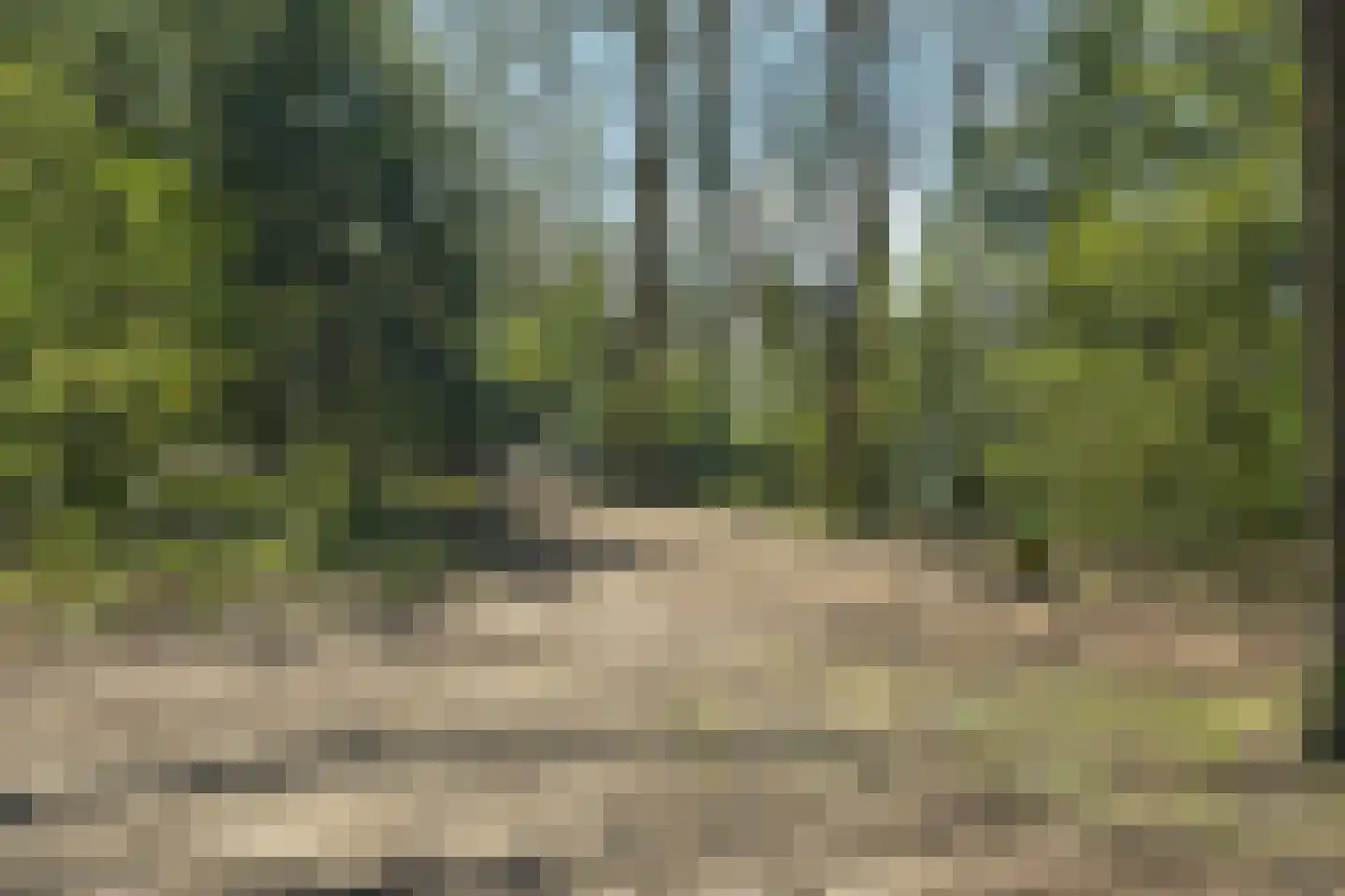 Bloemcamplaan 55 A Wassenaar thumbnail 33