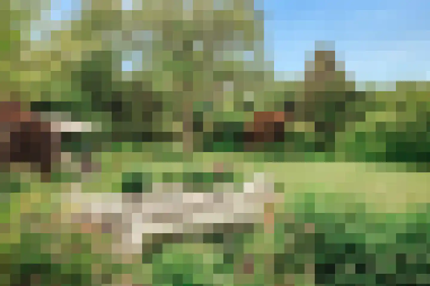 Bloemcamplaan 59 Wassenaar thumbnail 36