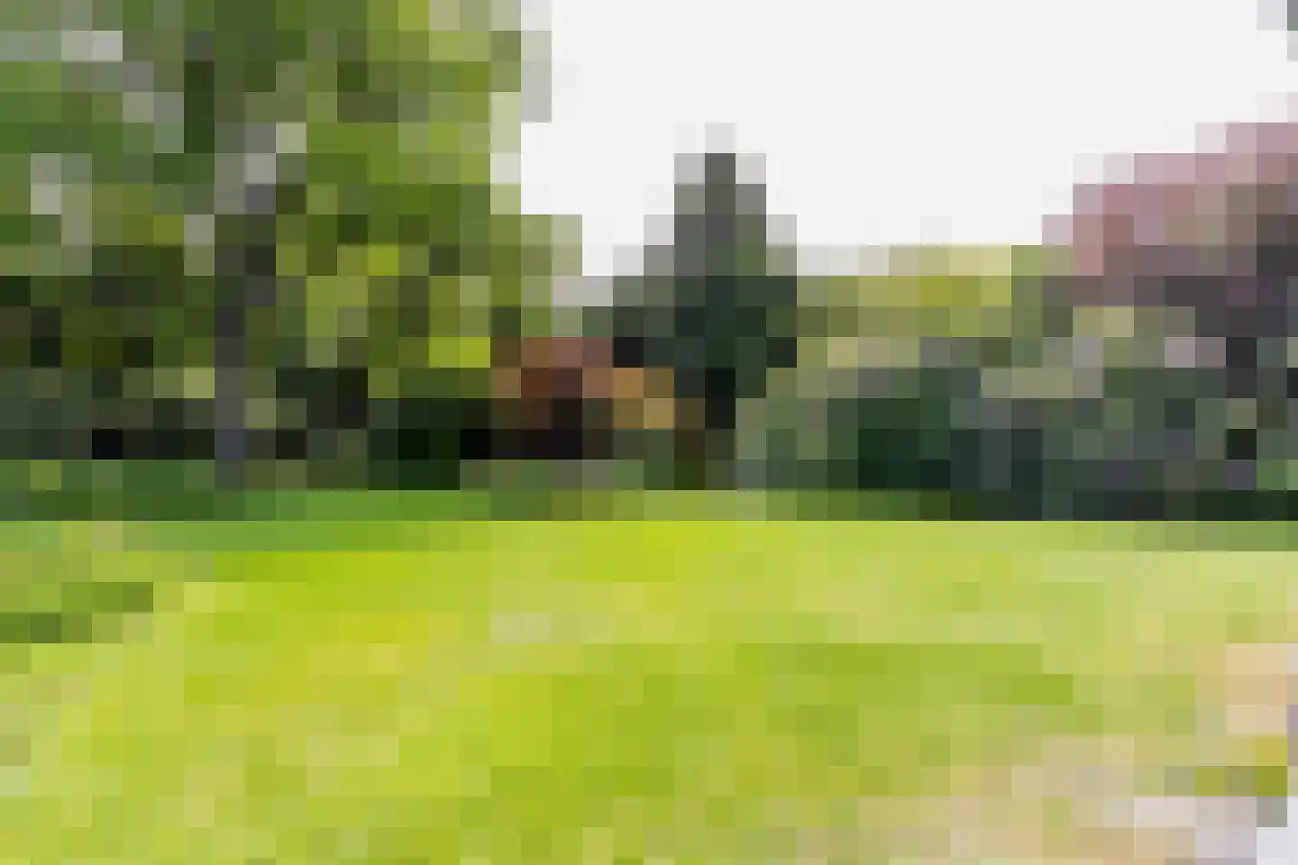 Bloemcamplaan 59 Wassenaar thumbnail 39