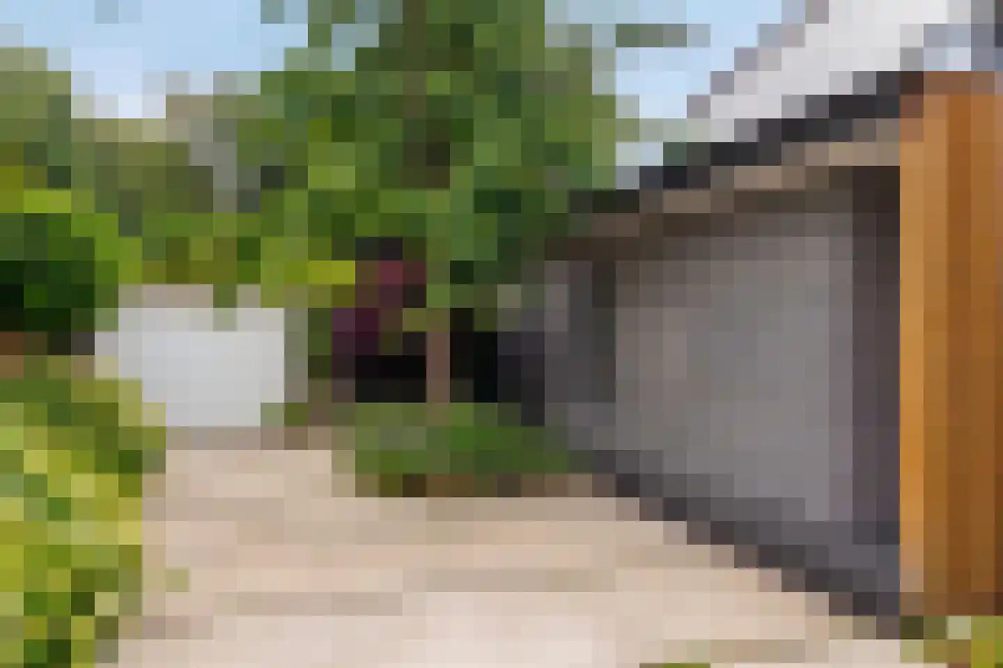 Bloemcamplaan 59 Wassenaar thumbnail 5