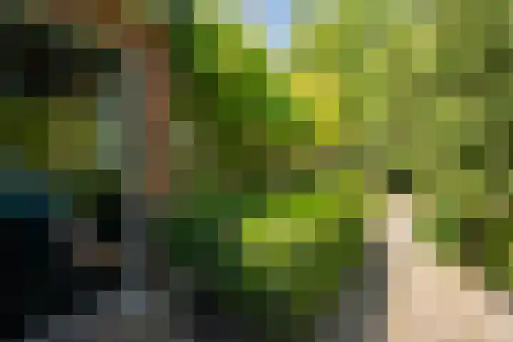 Bloemcamplaan 6 Wassenaar thumbnail 17