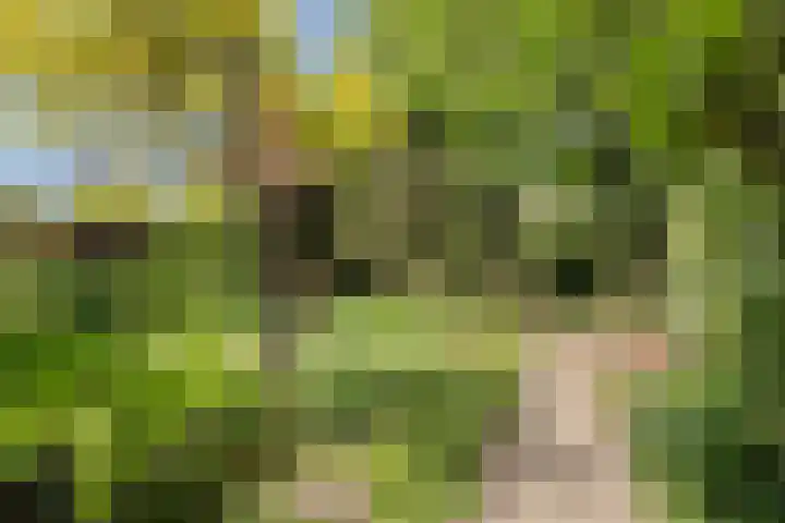 Bloemcamplaan 6 Wassenaar thumbnail 18