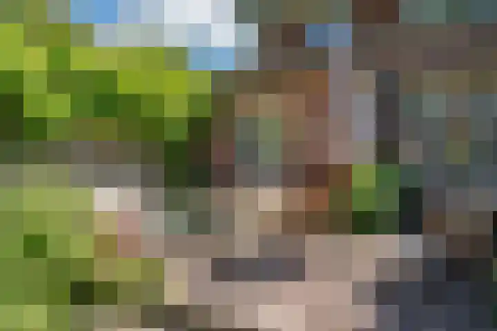 Bloemcamplaan 6 Wassenaar thumbnail 19
