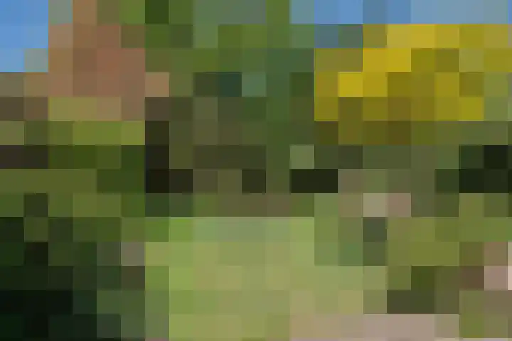 Bloemcamplaan 6 Wassenaar thumbnail 20
