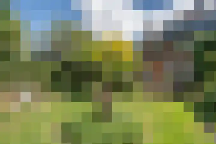 Bloemcamplaan 6 Wassenaar thumbnail 21