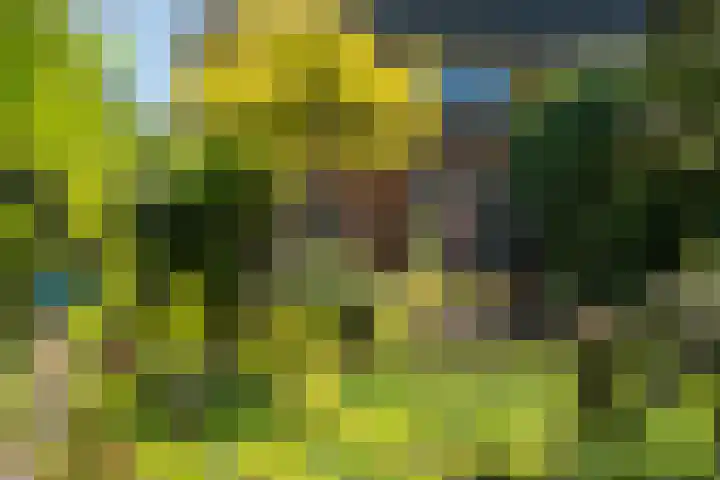 Bloemcamplaan 6 Wassenaar thumbnail 22