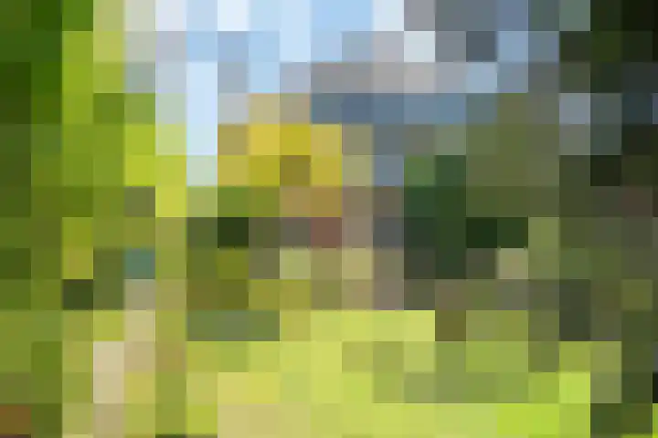 Bloemcamplaan 6 Wassenaar thumbnail 23