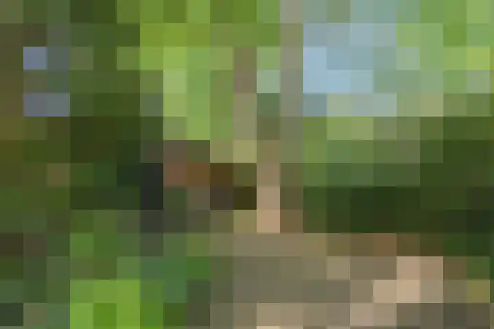 Bloemcamplaan 6 Wassenaar thumbnail 24