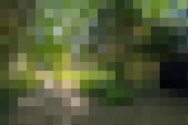 Bloemcamplaan 6 Wassenaar thumbnail 25