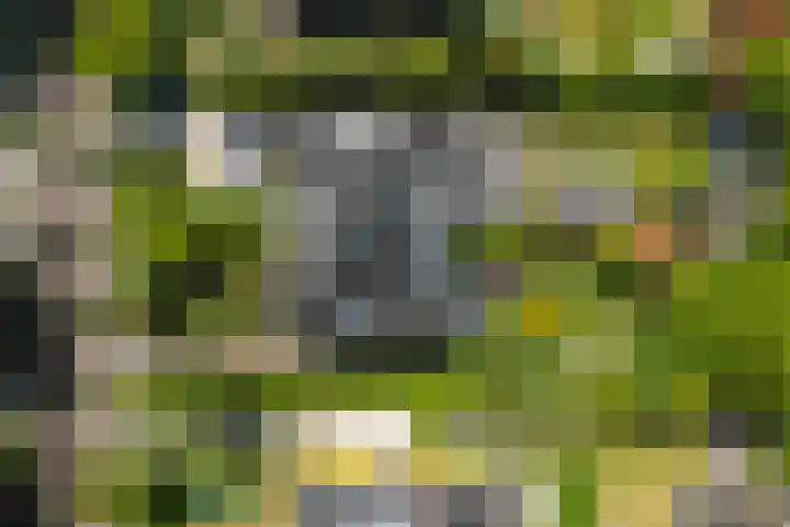 Bloemcamplaan 6 Wassenaar thumbnail 38