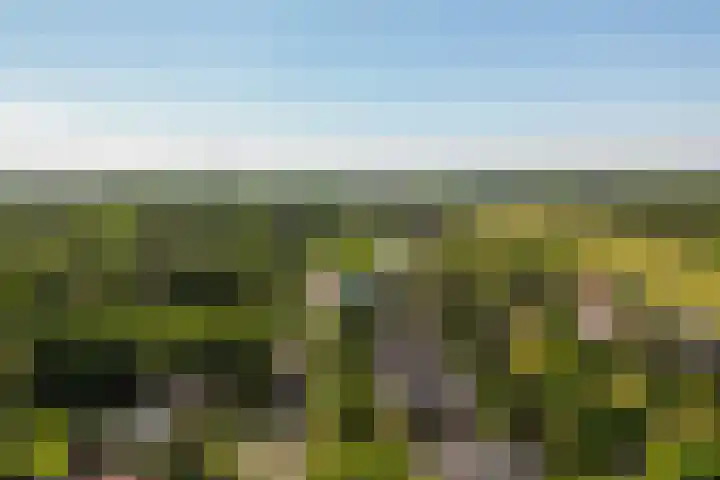 Bloemcamplaan 6 Wassenaar thumbnail 39