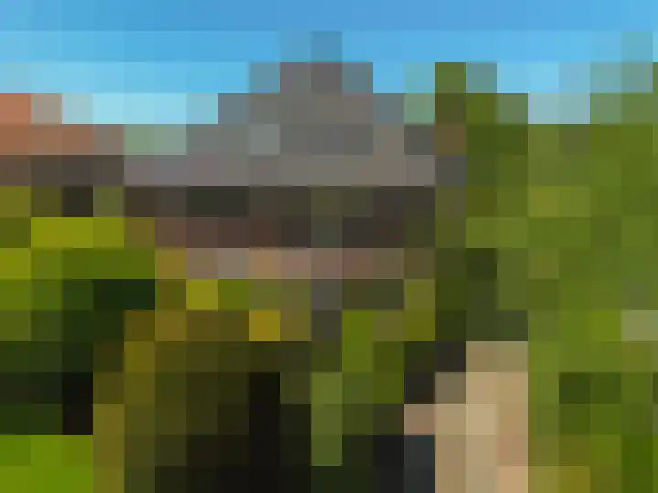 Bloemcamplaan 6 Wassenaar thumbnail 46