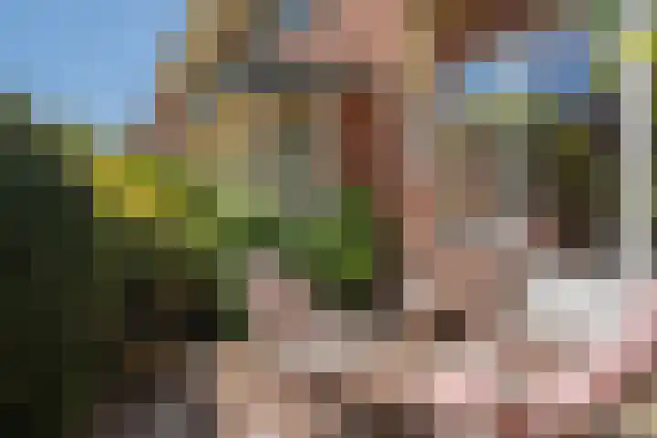 Bloemcamplaan 6 Wassenaar thumbnail 5