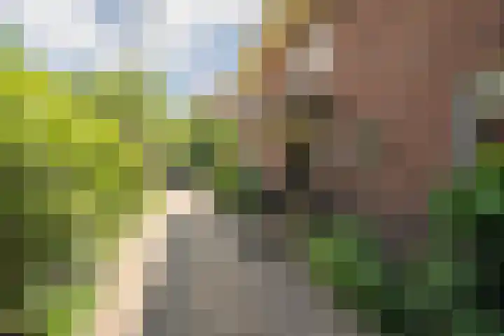 Bloemcamplaan 6 Wassenaar thumbnail 6