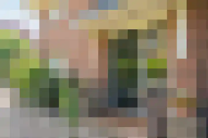 Bloemcamplaan 6 Wassenaar thumbnail 7