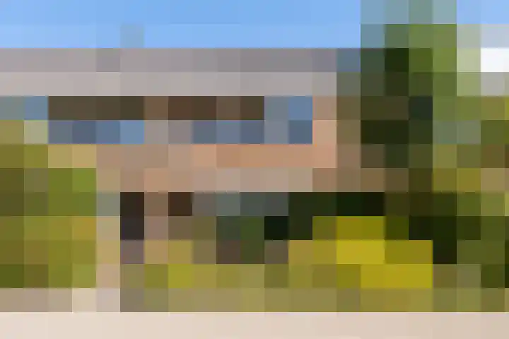 Bloeme 5 Reeuwijk