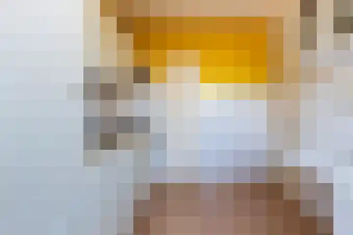 Bloeme 5 Reeuwijk thumbnail 18