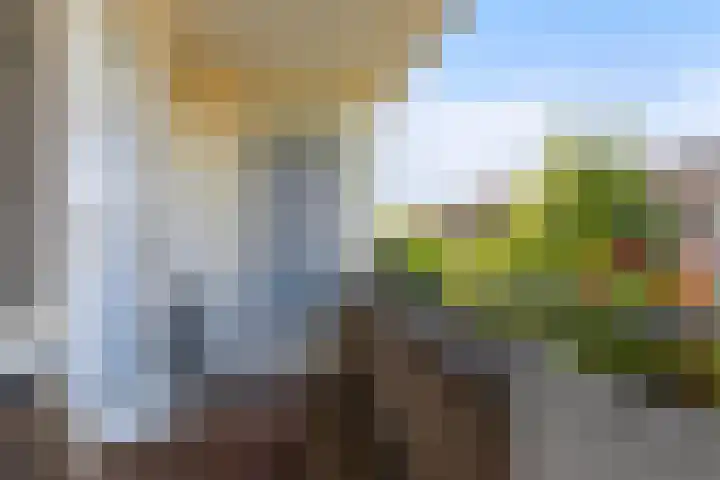 Bloeme 5 Reeuwijk thumbnail 33