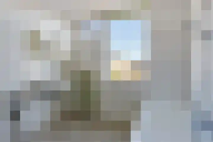 Bloeme 5 Reeuwijk thumbnail 34