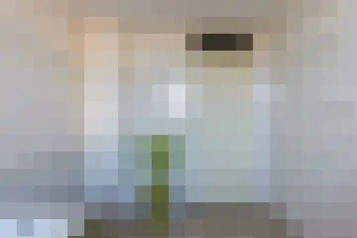 Bloeme 5 Reeuwijk thumbnail 35