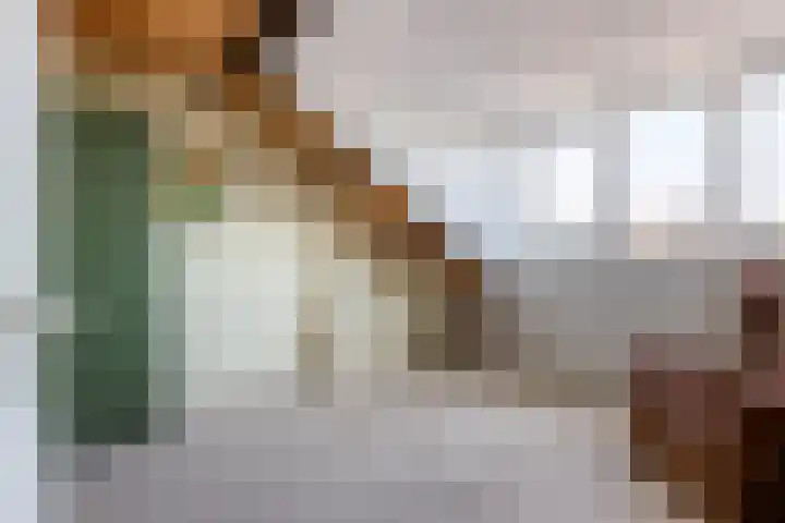 Bloeme 5 Reeuwijk thumbnail 38