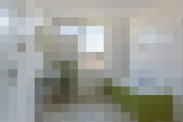 Bloeme 5 Reeuwijk thumbnail 4