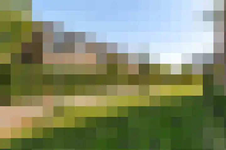Bloeme 5 Reeuwijk thumbnail 41