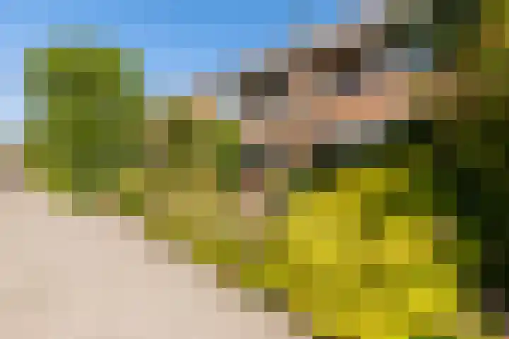 Bloeme 5 Reeuwijk thumbnail 42