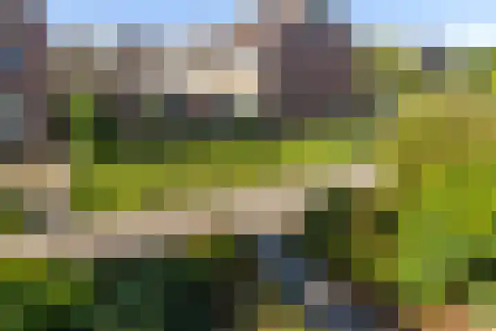 Bloeme 5 Reeuwijk thumbnail 43