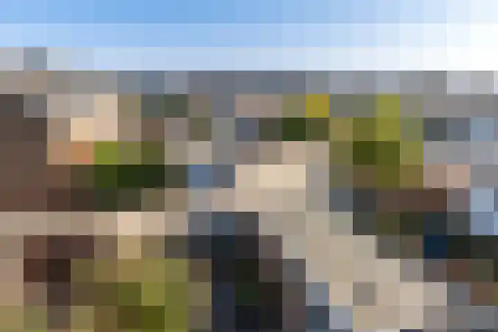 Bloeme 5 Reeuwijk thumbnail 44
