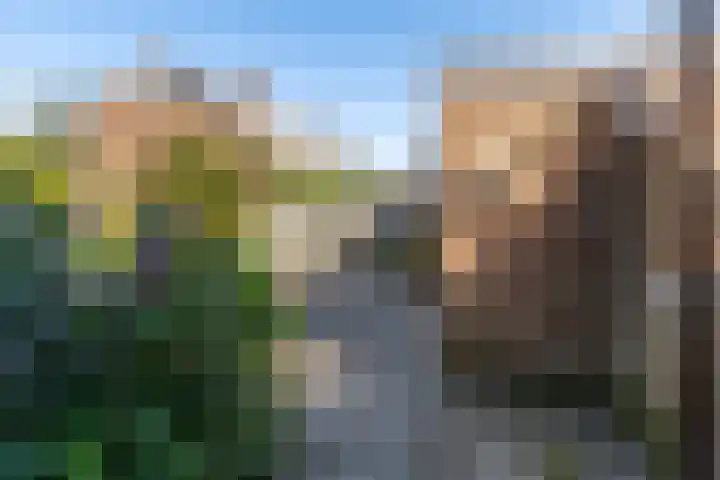 Bloeme 5 Reeuwijk thumbnail 45
