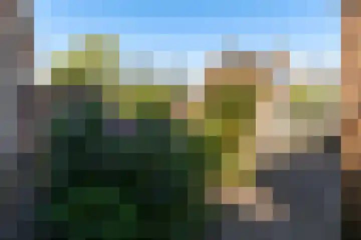 Bloeme 5 Reeuwijk thumbnail 46