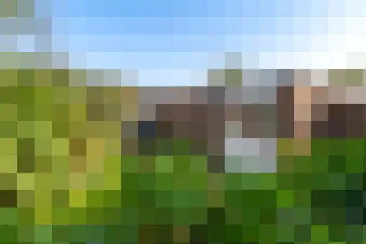 Bloeme 5 Reeuwijk thumbnail 47