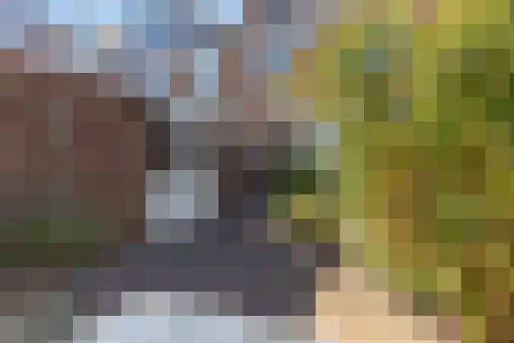 Bloeme 5 Reeuwijk thumbnail 49
