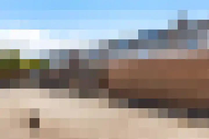 Bloeme 5 Reeuwijk thumbnail 50