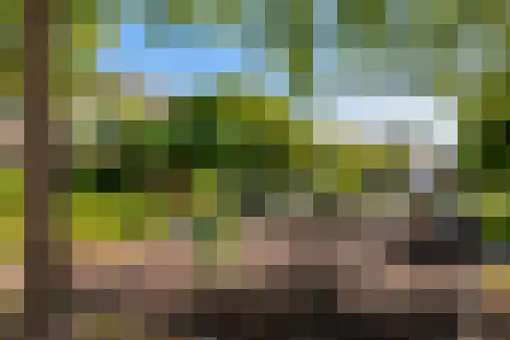 Bloeme 5 Reeuwijk thumbnail 51