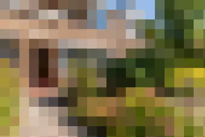Bloeme 5 Reeuwijk thumbnail 7