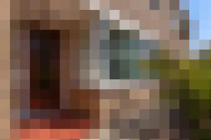 Bloeme 5 Reeuwijk thumbnail 8