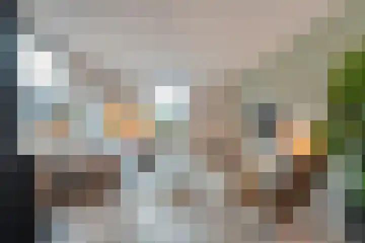 Bloeme-weide 6 Haarle thumbnail 13