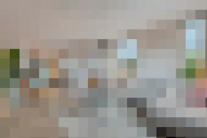 Bloeme-weide 6 Haarle thumbnail 15