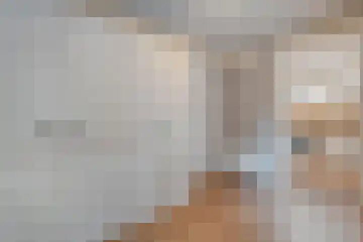 Bloeme-weide 6 Haarle thumbnail 22