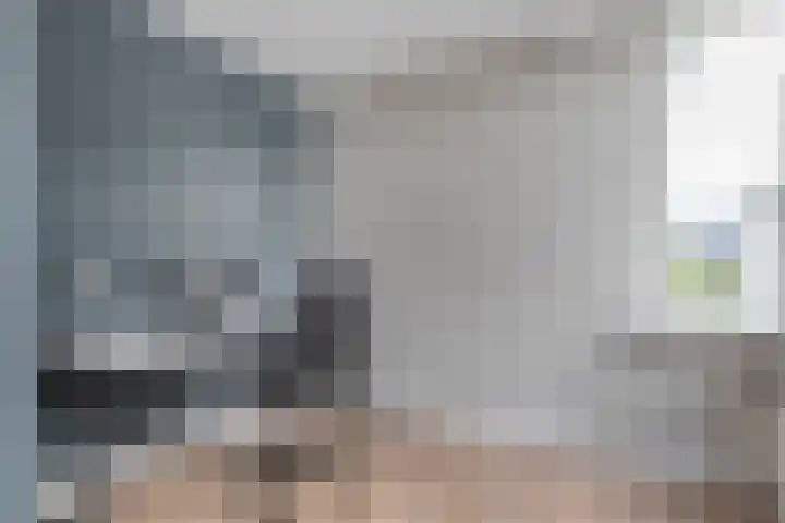 Bloeme-weide 6 Haarle thumbnail 23