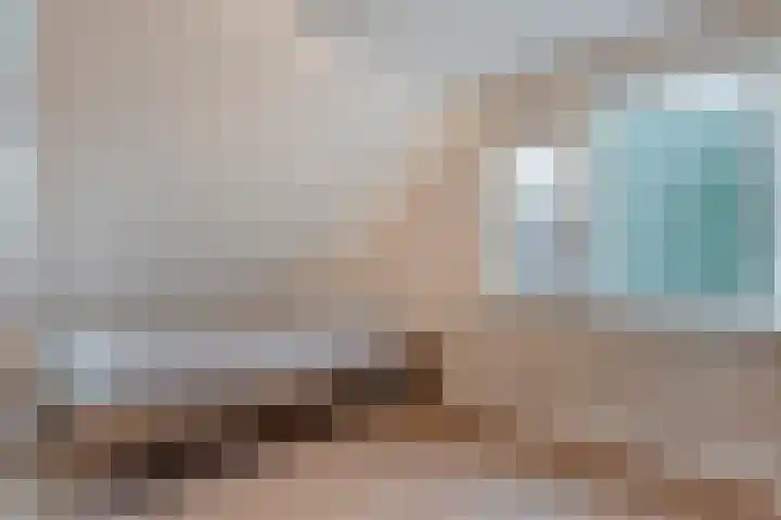 Bloeme-weide 6 Haarle thumbnail 26