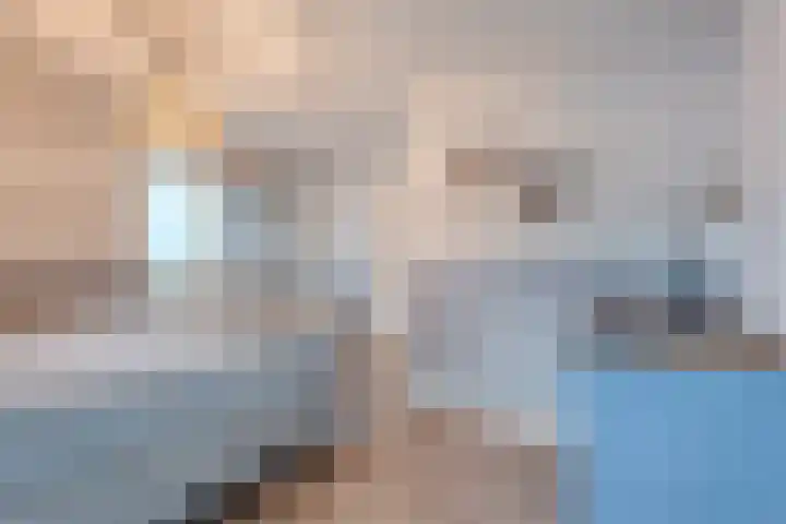 Bloeme-weide 6 Haarle thumbnail 32
