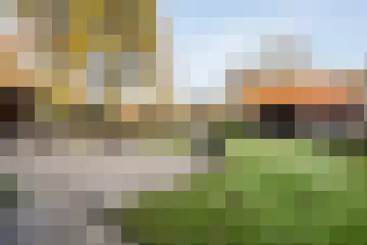 Bloeme-weide 6 Haarle thumbnail 37