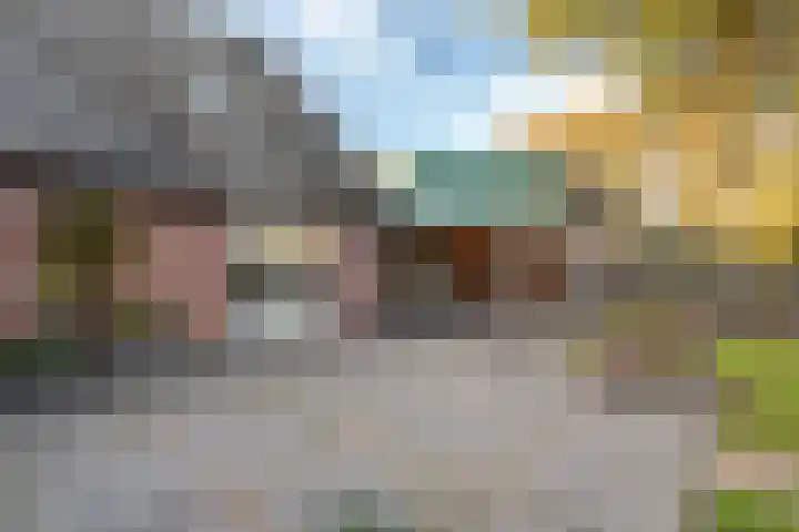 Bloeme-weide 6 Haarle thumbnail 38