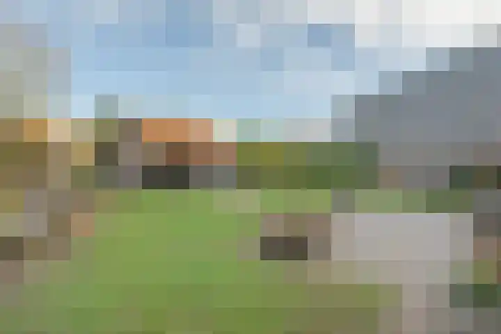 Bloeme-weide 6 Haarle thumbnail 40
