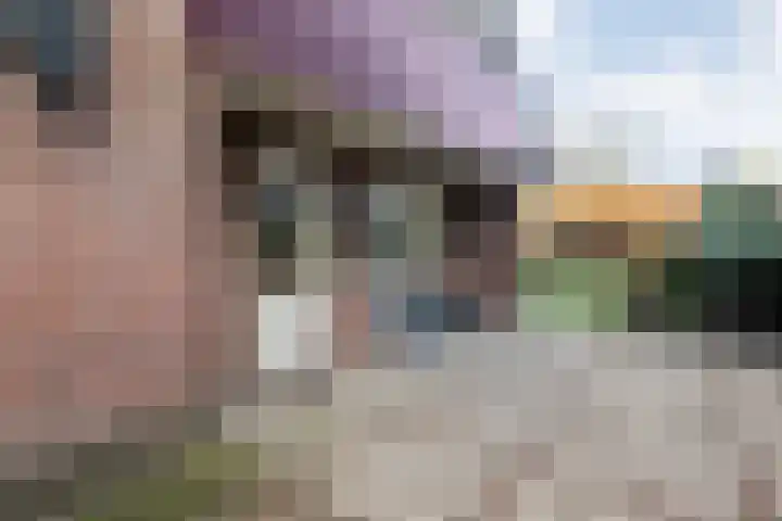Bloeme-weide 6 Haarle thumbnail 42