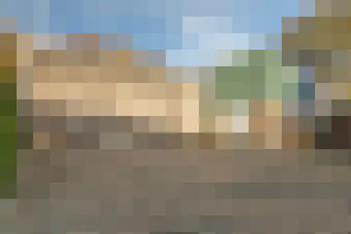 Bloeme-weide 6 Haarle thumbnail 53