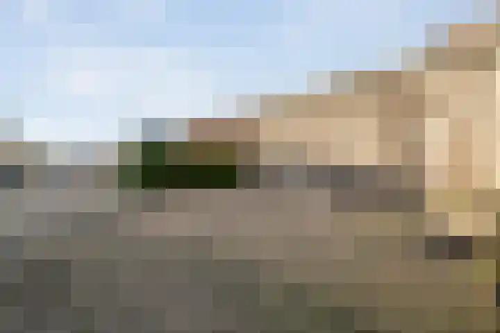 Bloeme-weide 6 Haarle thumbnail 54